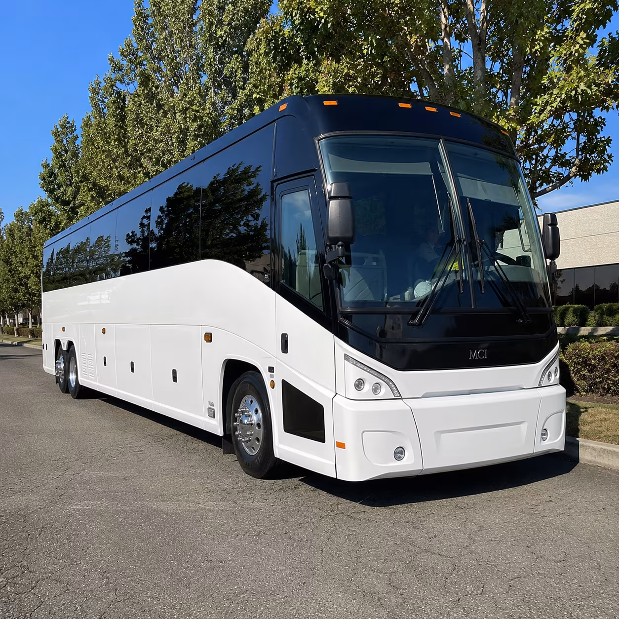 chino 50 passenger charter bus